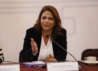 Michoacán, punta de lanza en reconocimiento de derechos indígenas: Fabiola Alanís