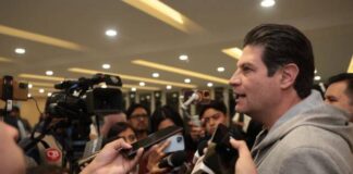 Morena tiene un desastre de seguridad en Michoacán: Alfonso Martínez