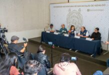 Investigadores nicolitas enfocan esfuerzos en la conservación de la mariposa Monarca