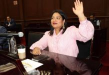 Presupuesto responsable y municipalista el aprobado por el Congreso: Erendira Isauro