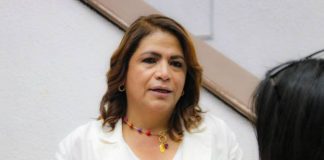 GP de Morena impidió creación de nuevos impuestos en municipios michoacanos: Fabiola Alanís