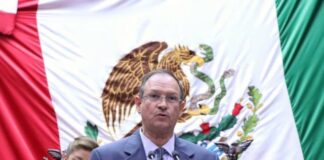 Presenta David Martínez Ley De Videovigilancia estatal