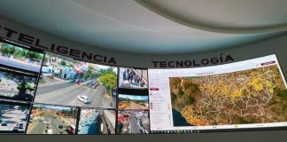 Con Guardián Forestal, más de 300 denuncias por cambio de uso de suelo en 2024: Bedolla