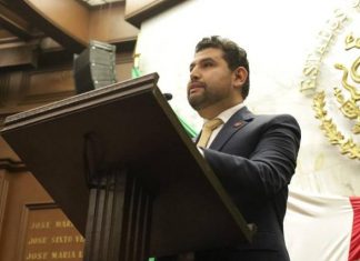 De los derechos humanos al bienestar animal: la agenda legislativa de Octavio Ocampo