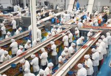 Michoacán, entre los 10 estados con más generación de empleo: Sedeco