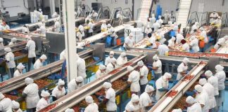 Michoacán, entre los 10 estados con más generación de empleo: Sedeco