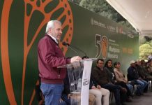 Guardián Forestal vigila permanentemente la Reserva de la Biósfera de la Mariposa Monarca: Bedolla