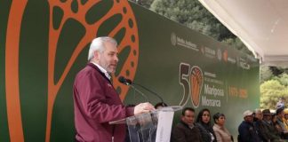 Guardián Forestal vigila permanentemente la Reserva de la Biósfera de la Mariposa Monarca: Bedolla