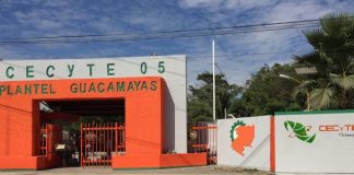 Tras sismo, no hay daños en los 93 planteles del Cecytem