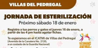 Primera Feria de Esterilización 2025: Por un Futuro sin Abandono Animal