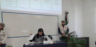 Microempresas, el motor económico de Michoacán ante la falta de grandes inversiones