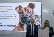 Chayanne llegará a Morelia en un concierto animalista a beneficio de perros y gatos
