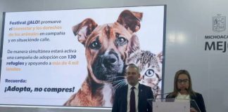 Chayanne llegará a Morelia en un concierto animalista a beneficio de perros y gatos