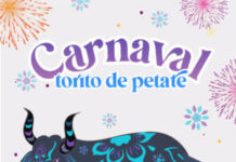 Gobierno de Morelia invita a artesanos a participar en el Carnaval del Torito de Petate 2025