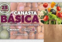 Canasta básica en menos de mil pesos, en el tiaguis de la Feria: Sedeco
