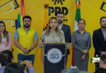 Brissa Arroyo no se descarta para dirigir el PRDM en Michoacán