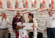 En Michoacán, Presidenta Claudia Sheinbaum encabeza entrega del Programa de Fertilizantes para el Bienestar, derecho de las y los campesinos