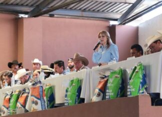 Gobierno de Alfonso Martínez, cercano al sector Ganadero