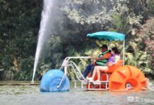 Enamórate en el Zoológico de Morelia