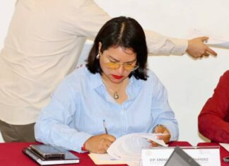 Eréndira Isauro impulsa reformas a favor del medio ambiente y animales