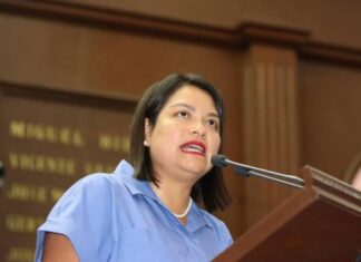 Eréndira Isauro trabaja en defensa de la identidad de comunidades indígenas