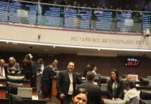 Araceli Saucedo avala en comisiones reforma contra nepotismo y reelección