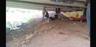 Gobierno de Morelia interviene bajo puentes de Av. Solidaridad