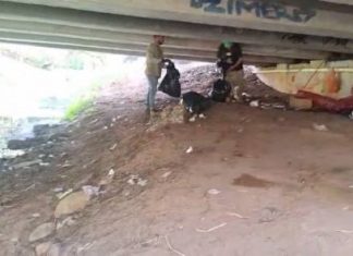 Gobierno de Morelia interviene bajo puentes de Av. Solidaridad