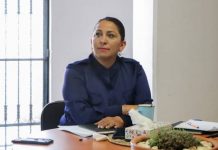 «Rehabilitación de vialidades en Quiroga, compromiso con la seguridad y el desarrollo urbano”: Alma Mireya González