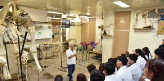 Medicina, Odontología y Derecho encabezan el Top 10 de las carreras con mayor demanda en la UMSNH