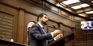 Octavio Ocampo presentó iniciativa para que Michoacán refuerce la defensa animal al sancionar la falta de auxilio a los animales