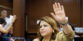 A continuar con la defensa del maíz desde las bases del campo, llamó la diputada Fabiola Alanís
