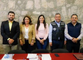 Proceso electoral judicial avanza en tiempo y forma: Fabiola Alanís