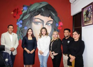 Desde el Congreso local unimos esfuerzos en favor de las mujeres: Brissa Arroyo