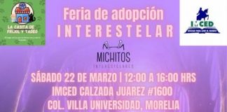 Esté sábado feria de adopción interestelar: peludos en busca de un hogar lleno de amor