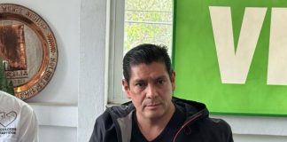 Esterilización: La solución para los perritos en situación de calle