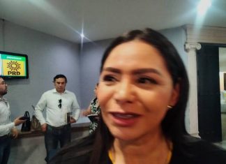 Araceli Saucedo, la apuesta del PRD Michoacán para la gubernatura en 2027