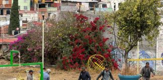 Ayuntamiento de Morelia realiza Jornada de Limpieza en Real Punhuato