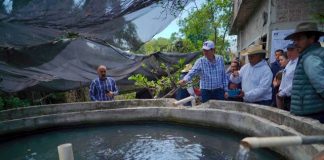 Gobierno de Alfonso Martínez apoya producción piscícola en las tenencias