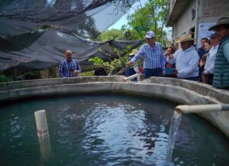 Gobierno de Alfonso Martínez apoya producción piscícola en las tenencias