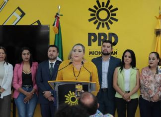 Verónica García alza la mano para dirigir al PRD Michoacán