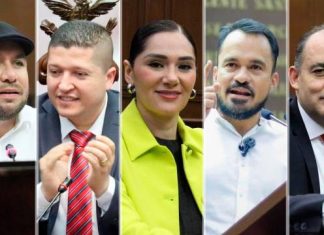 Es tiempo de mujeres no solo en candidaturas, sino por la protección de sus causas: GPPT Michoacán