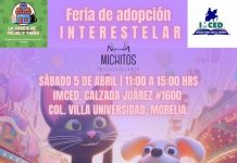 «Peludos buscan hogar: Feria de Adopción de Michitos Interestelares»