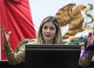 Por un acto de justicia para las infancias y las madres votamos a favor de la Ley Contra Deudores Alimentarios: Brissa Arroyo