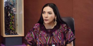 Frenar la violencia contra niños y adolescentes, una tarea pendiente: Adriana Campos Huirache