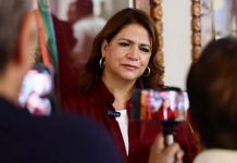 Acusaciones contra Ramírez Bedolla fueron irresponsables: Fabiola Alanís