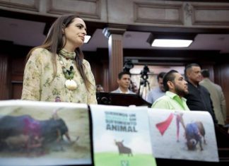Por un Michoacán que ponga “fin a la crueldad como espectáculo”, respalda Sandra Arreola prohibición de la tauromaquia
