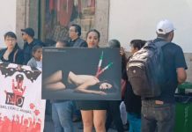 Hay 20 mil casos de maltrato animal, en espera de sentencias a nivel nacional: animalistas