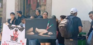 Hay 20 mil casos de maltrato animal, en espera de sentencias a nivel nacional: animalistas
