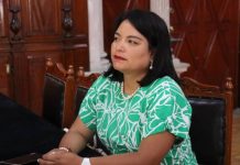 Pueblos originarios recibirán más de 406 mdp pesos para infraestructura: Eréndira Isauro Hernández